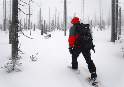 Wintertime fun can be found around Puget Sound